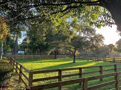 Paddocks