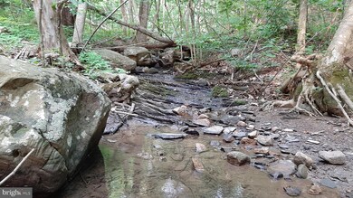 0 Brush Leaf Ln unit VASH121548, Mount Jackson, VA 22842 - photo 3