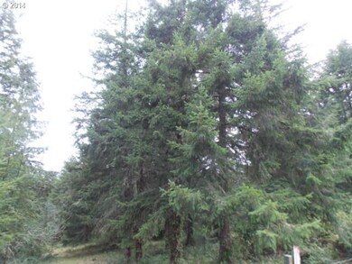 0 Coffman Ct unit 14275589, Myrtle Point, OR 97458 - photo 2