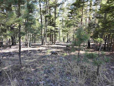 180 Big Dipper Rd unit 19, Cloudcroft, NM 88317 - photo 6