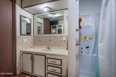Primary suite bath vanity