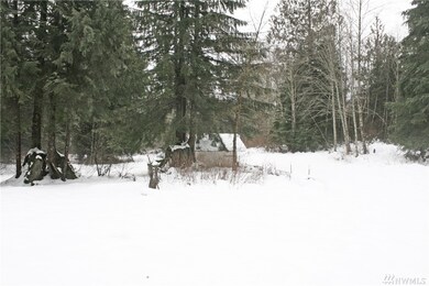 27416 E Lake Riley Rd, Arlington, WA 98223 - photo 3