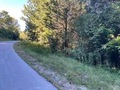 Tract 2 Cumberland Ridge Dr, Somerset, KY 42501 - photo 3