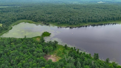 Lot 14 Cr-30, Crosby, MN 56441 - photo 7