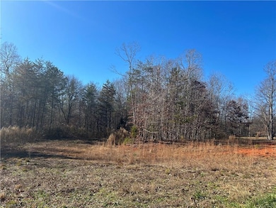 0 Buckskin Trail unit 1202986, Boonville, NC 27011 - photo 4