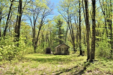Front of Cabin/Shed