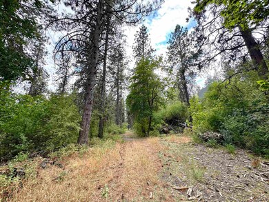 3611 W Rosamond Ave, Spokane, WA 99224 - photo 4