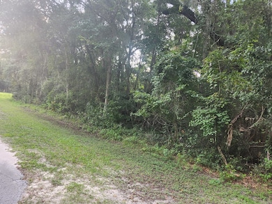 0 NW 86th St, Chiefland, FL 32626 - photo 3