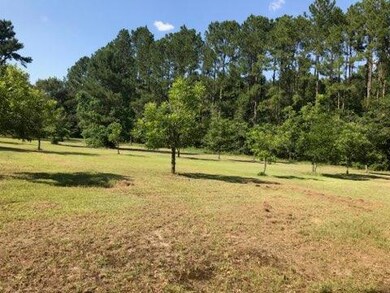 5515 Dixie Rd, Dixie, GA 31629 - photo 5