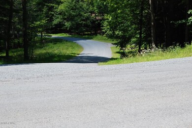 4 Sundew Rd, Roaring Brook Township, PA 18436 - photo 7