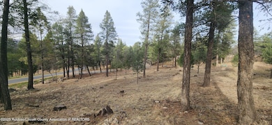 301 Excalibur Rd, Ruidoso, NM 88345 - photo 6