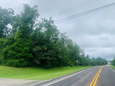 0 King Rd unit 132709, Tifton, GA 31793 - photo 2