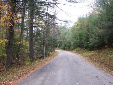 184 Gustin Pond Rd, Marlow, NH 03456 - photo 3