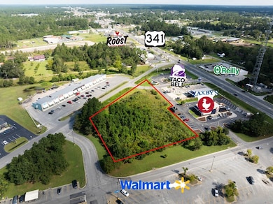 00000 Golden Isle W, Baxley, GA 31513 - photo 2