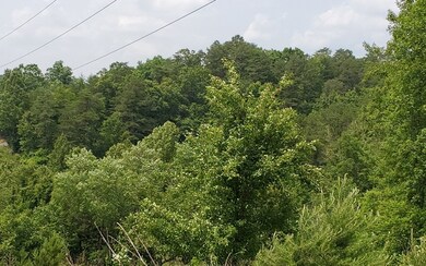 Additional View