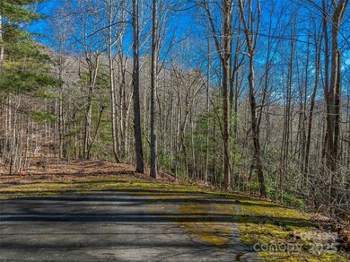 TBD Ladys Fern Trail unit 9, Laurel Park, NC 28739 - photo 6