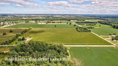 V/L Mielke Rd, Freeland, MI 48623 - photo 6