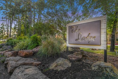 14123 Aspen Woods Ct, Conroe, TX 77384 - photo 5