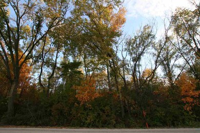 Lot 2 Mortensen Rd, Brooklyn, WI 53521 - photo 2