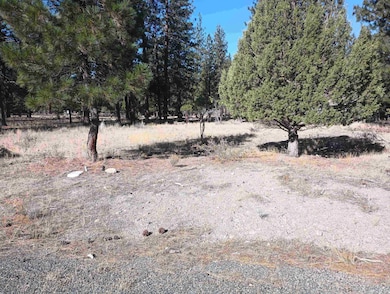 7-1/98,99 Grizzly Den Rd unit 7-1, Lake Shastina, CA 96094 - photo 3