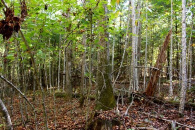 20171006235107311436000000-o