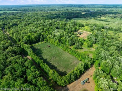 #0091 V L Nature's Trail Rd, Vassar, MI 48768 - photo 4