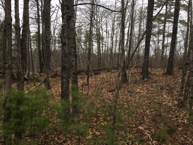 0 0 Spring Benson Rd unit 1489237, Newfield, ME 04095 - photo 3