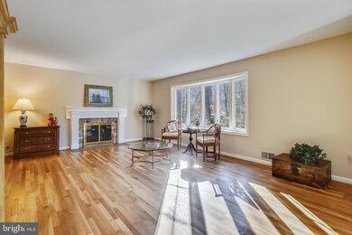 12014 Canter Ln, Reston, VA 20191 - photo 3
