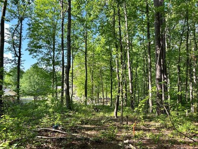 5211 Union Hill Rd, Alpharetta, GA 30004 - photo 6