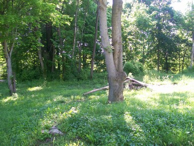 Side Yard