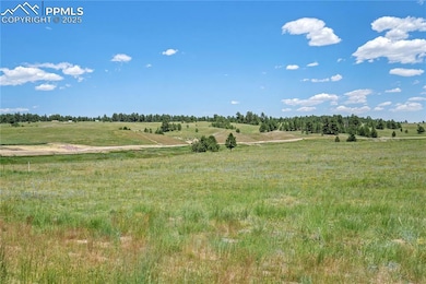 10438 Alamar Way, Black Forest, CO 80908 - photo 3