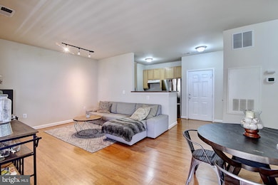 22607 Blue Elder Terrace unit 201, Ashburn, VA 20148 - photo 6