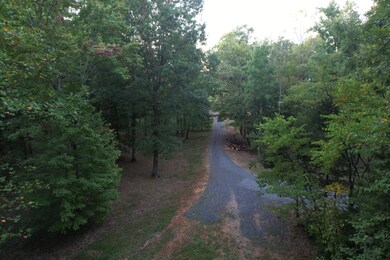 11.6 Acres Video Way, Newport, TN 37821 - photo 7