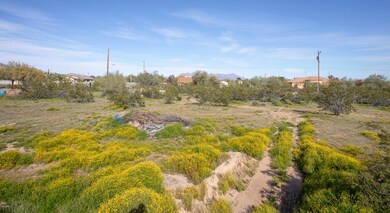 View to the east