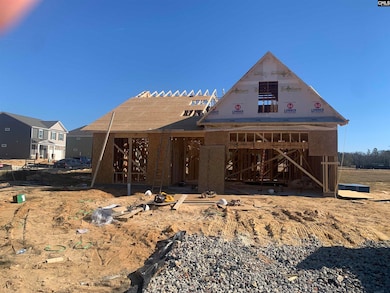 203 Ruby Prince Way, Lexington, SC 29073 - photo 2