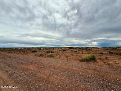 58 Well Field Rd, Winslow, AZ 86047 - photo 3
