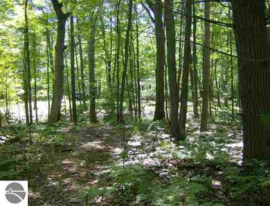 00 E 8th St, Au Gres, MI 48703 - photo 3