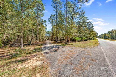 11010 Coleman Ln, Elberta, AL 36530 - photo 5