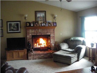 Wood burning fireplace
