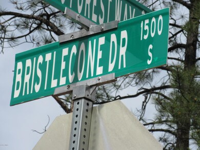 1701 S Bristle Cone Dr, Show Low, AZ 85901 - photo 3