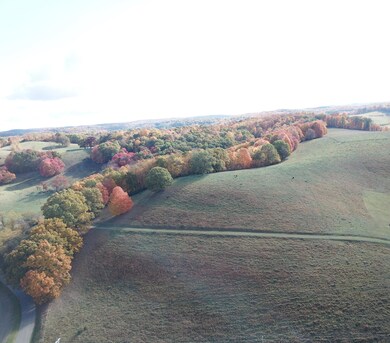 DJI_0284