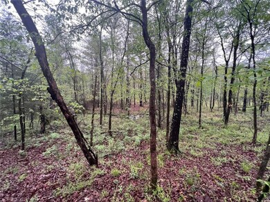 26 Kissingfish Ct, Broken Bow, OK 74728 - photo 5