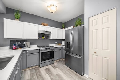 2077 Union Mill Dr, Aurora, IL 60503 - photo 6