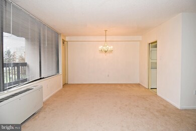 Skyline Plaza unit 207N, Baileys Crossroads, VA 22041 - photo 7