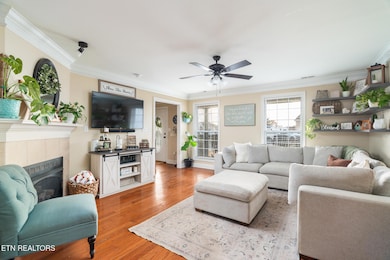 5301 Mattice Ln, Corryton, TN 37721 - photo 6