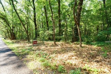 M_Ave_W_Lots_Kalamazoo_49009-2