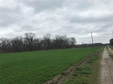 0TBB Emil Burgard Ln, Fayetteville Township, IL 62258 - photo 3