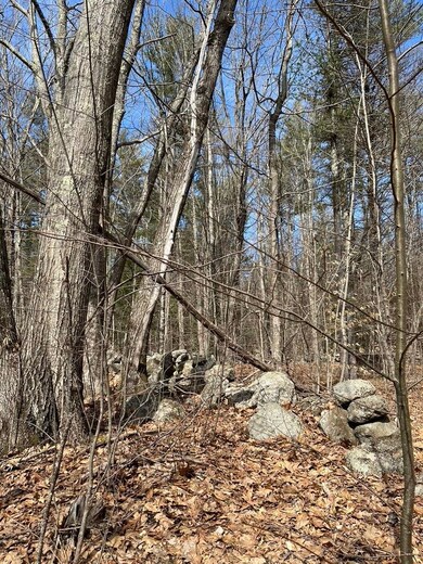 0 Gerrish Rd unit 43-4-3 4917218, Webster, NH 03303 - photo 6