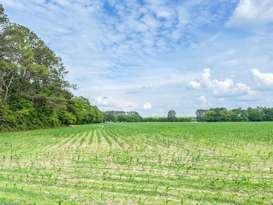 0 Tbd Salem Rd unit LotWP00B 24524860, Bennettsville, SC 29512 - photo 7