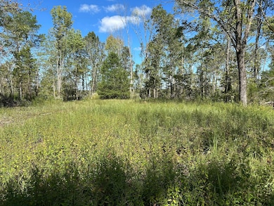 0 Tbd Only Rd, Only, TN 37140 - photo 3